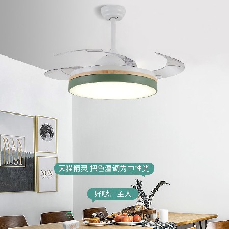 現(xiàn)代簡(jiǎn)約隱形風(fēng)扇燈 木紋靜音餐廳語音智能客廳燈臥室吊扇燈廠家