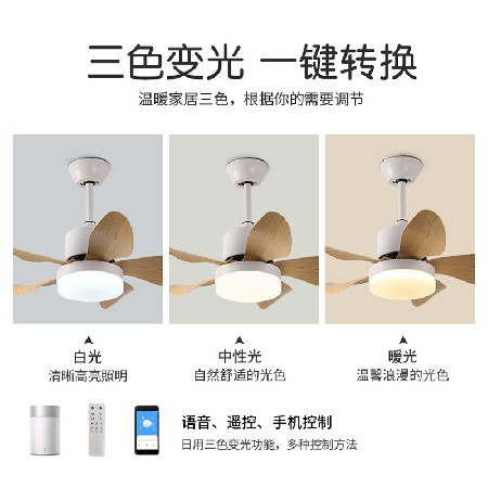 批發(fā)客廳led電扇燈 簡約家用客廳餐廳臥室智能小風扇燈變頻吊扇燈