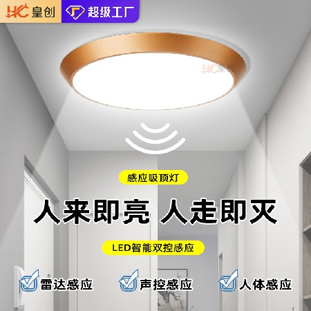 led感應燈樓梯燈吸頂燈過道樓道走廊紅外人體自動感應雷達聲控