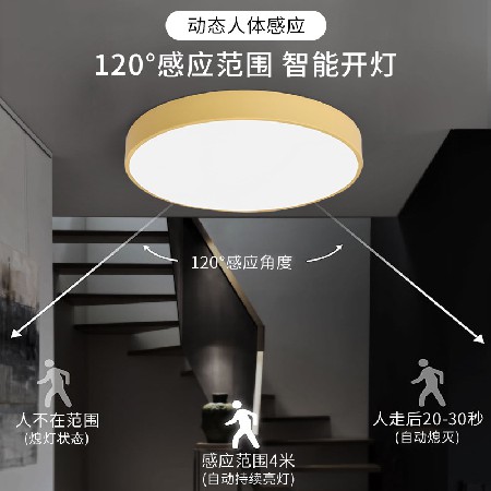 爆款led圓形過道吸頂燈 雷達(dá)人體感應(yīng)超薄陽臺燈馬卡龍玄關(guān)走廊燈